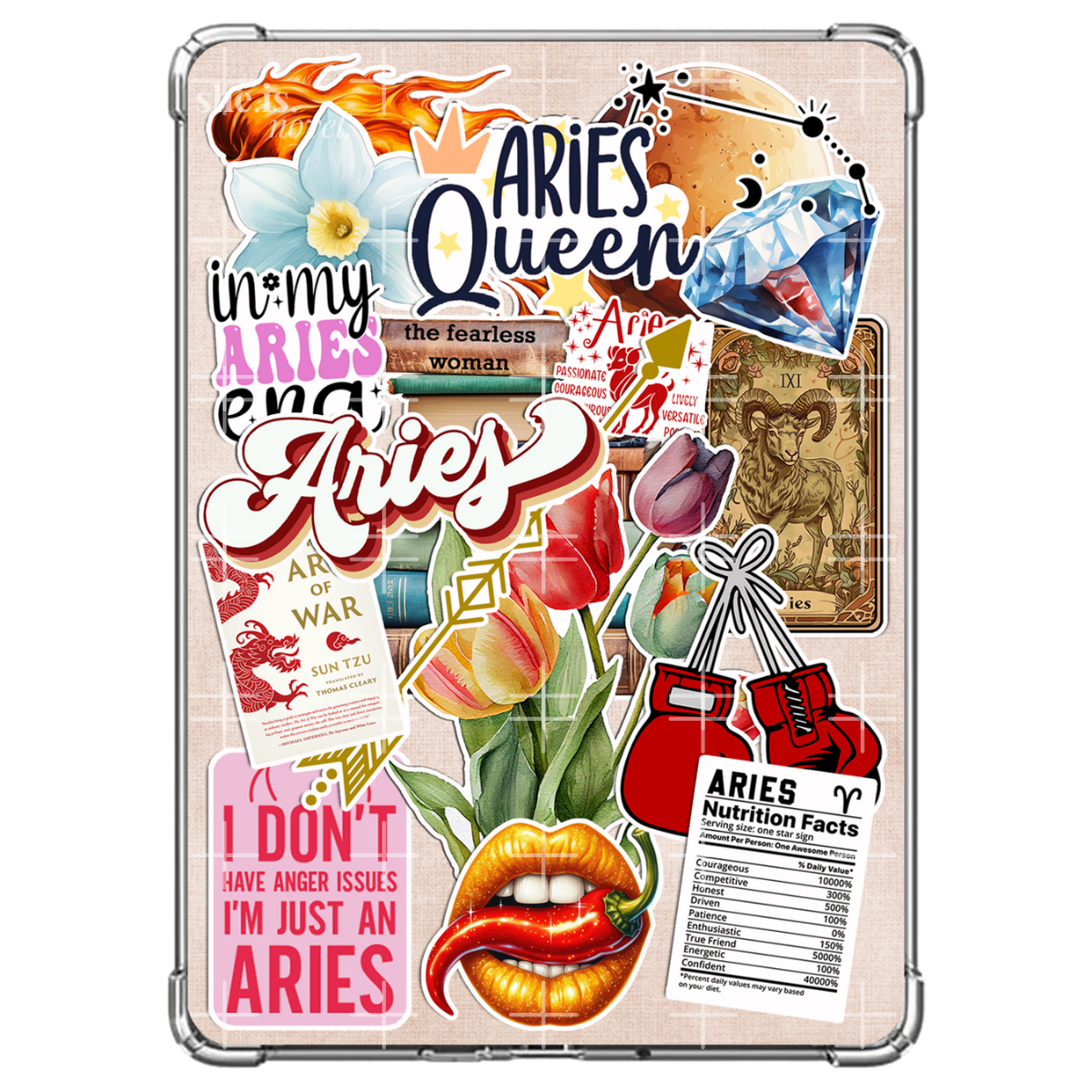 Aries Reader