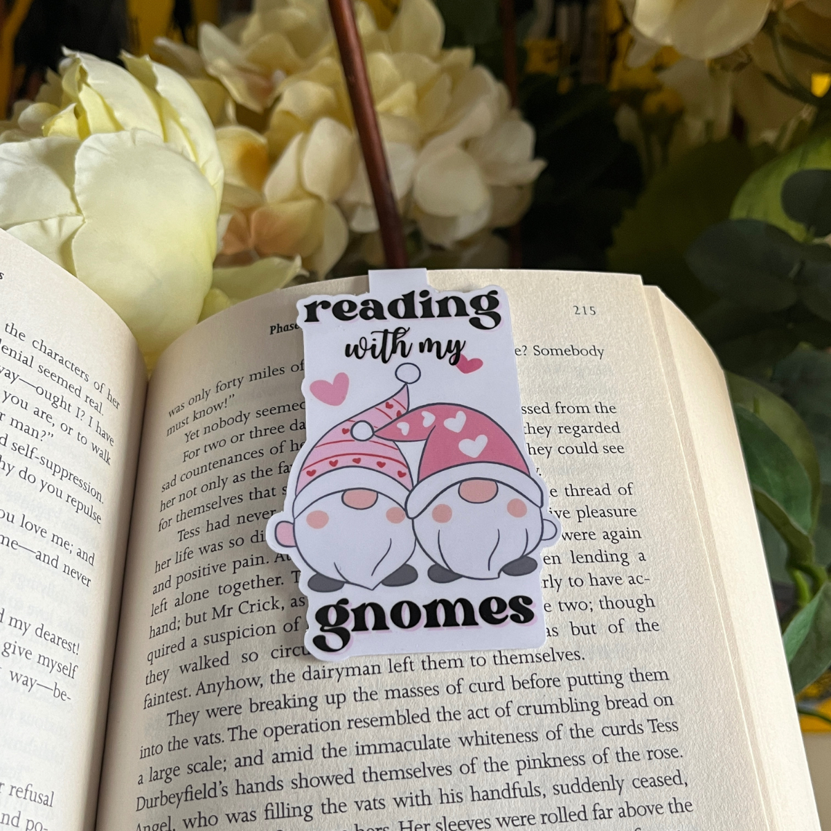 Reading With My Gnomes