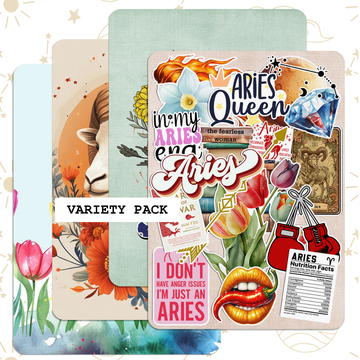 Aries Reader