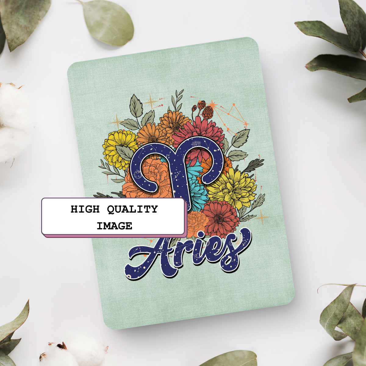 Aries Reader