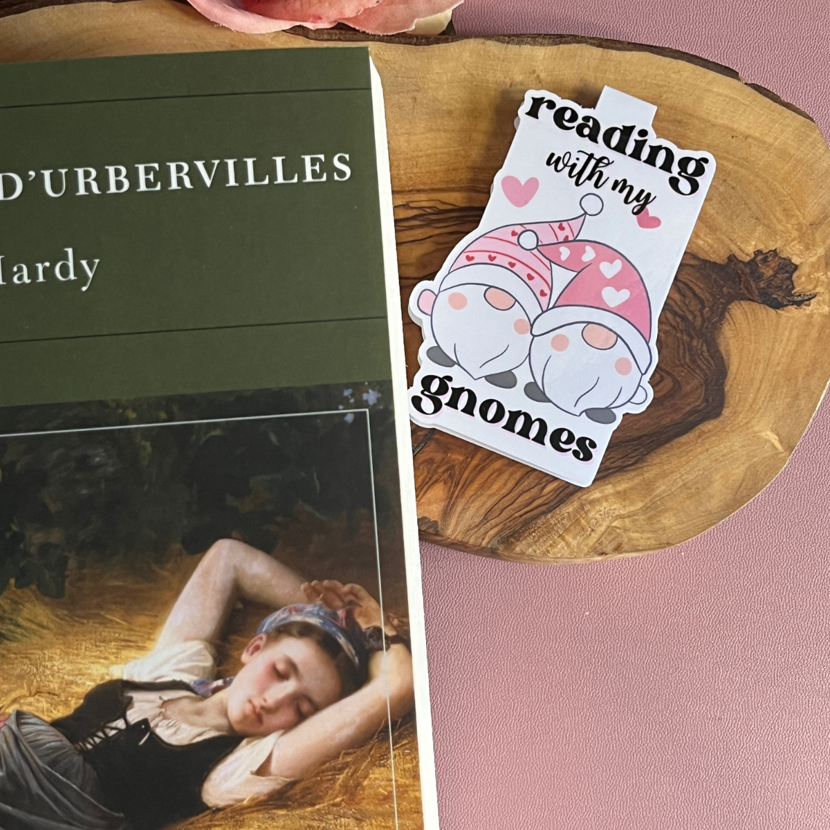 Reading With My Gnomes
