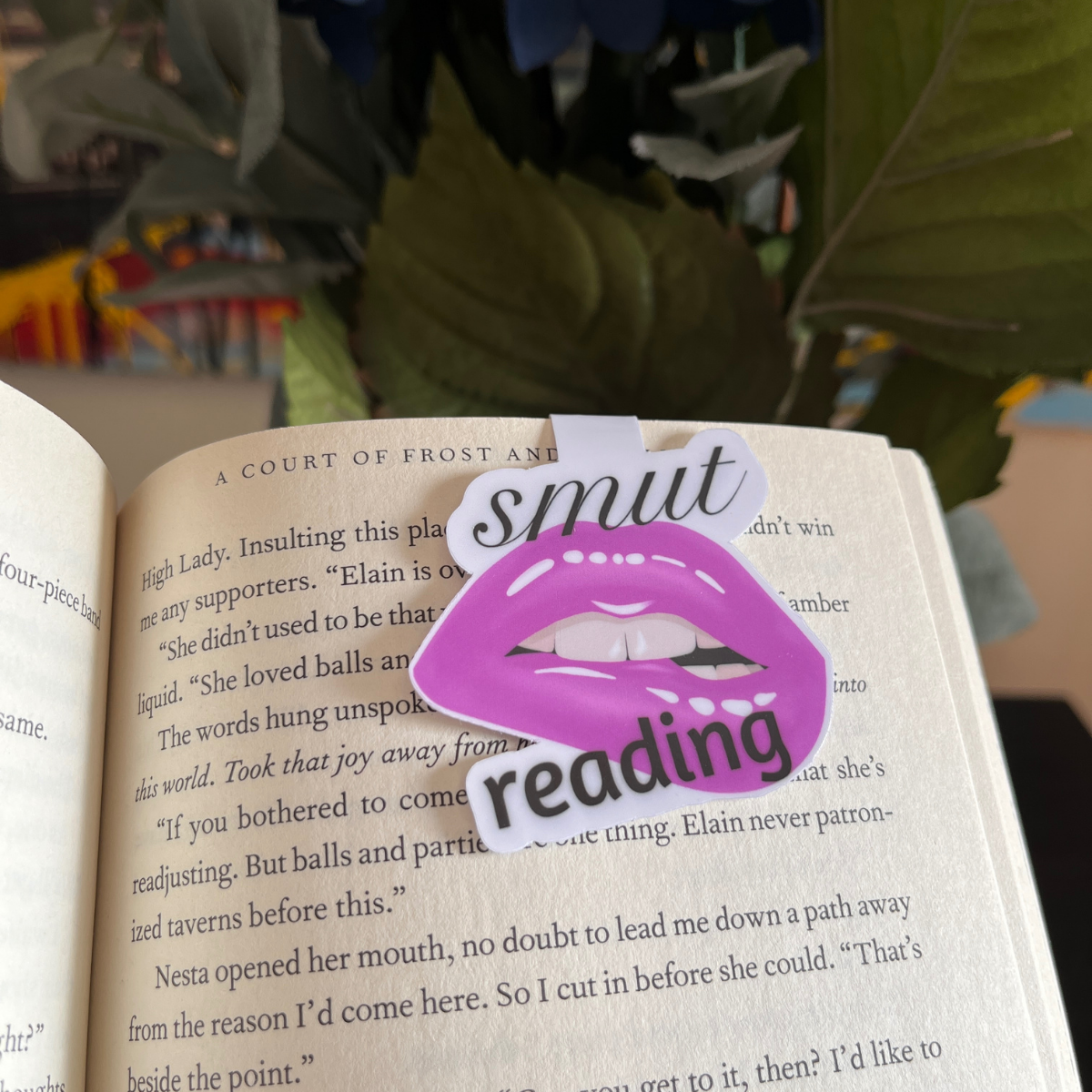 Smut Reading