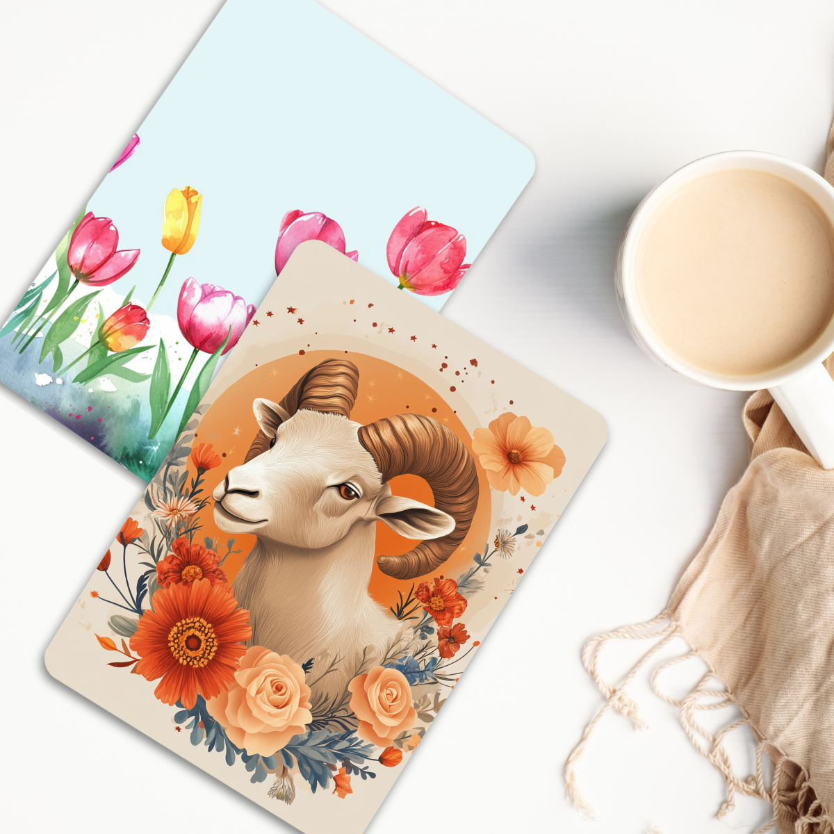 Aries Reader
