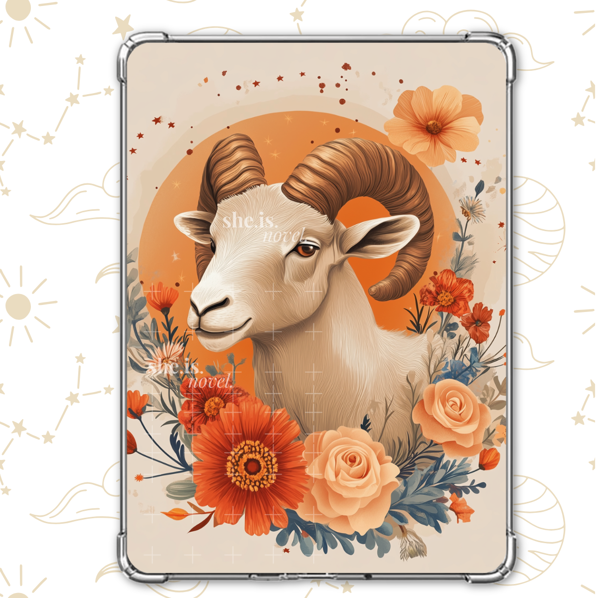 Aries Reader