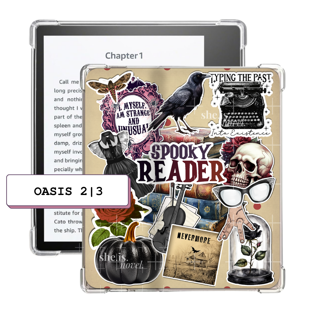 Poe The Reader
