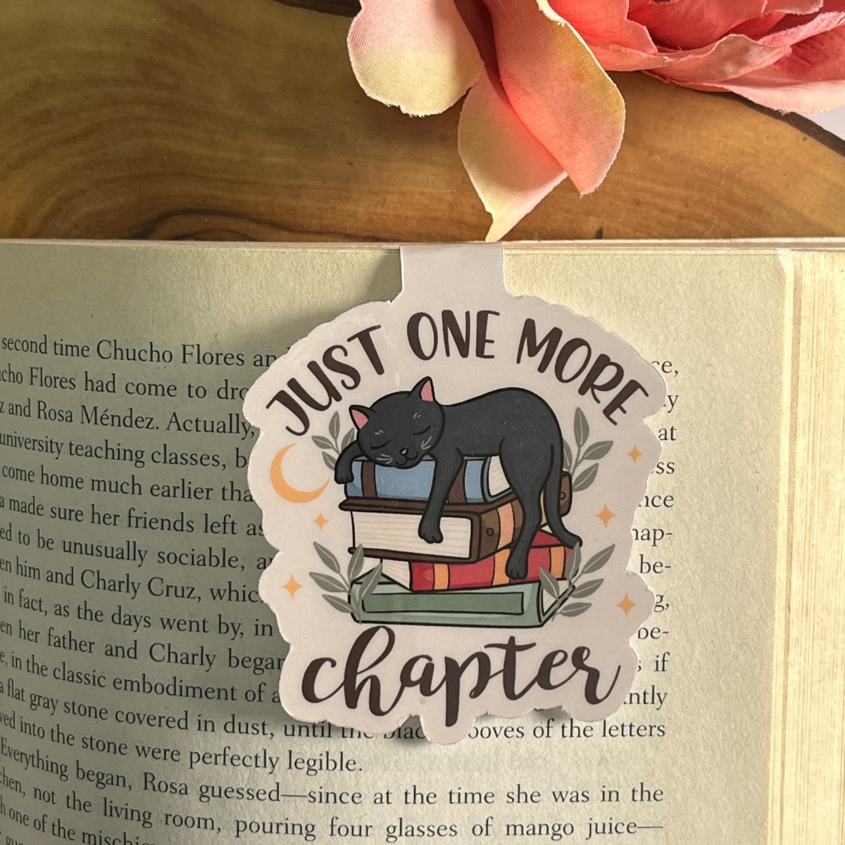 Just One More Chapter (Sleeping Cat)