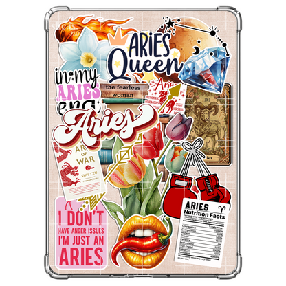 Aries Reader