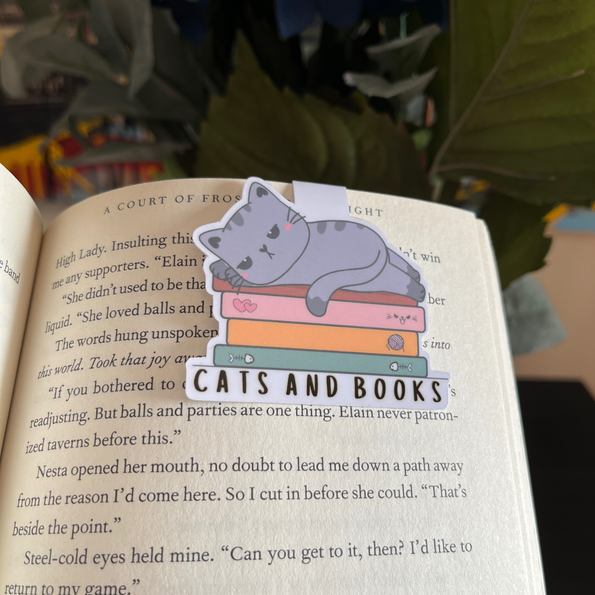 Cats and Books