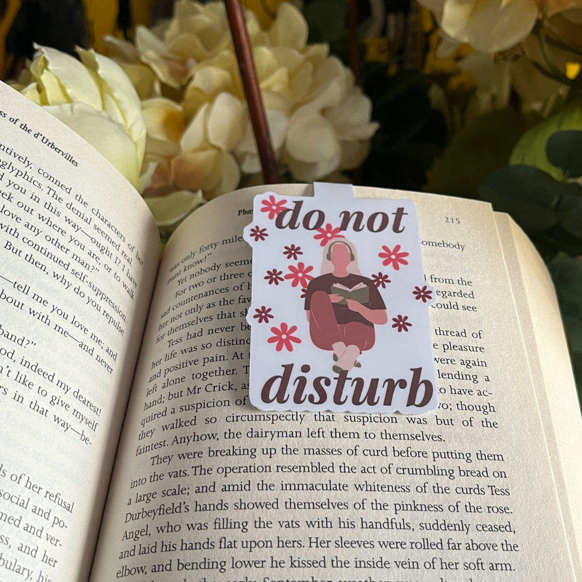 Do Not Disturb