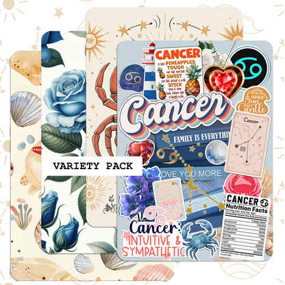 Cancer Reader