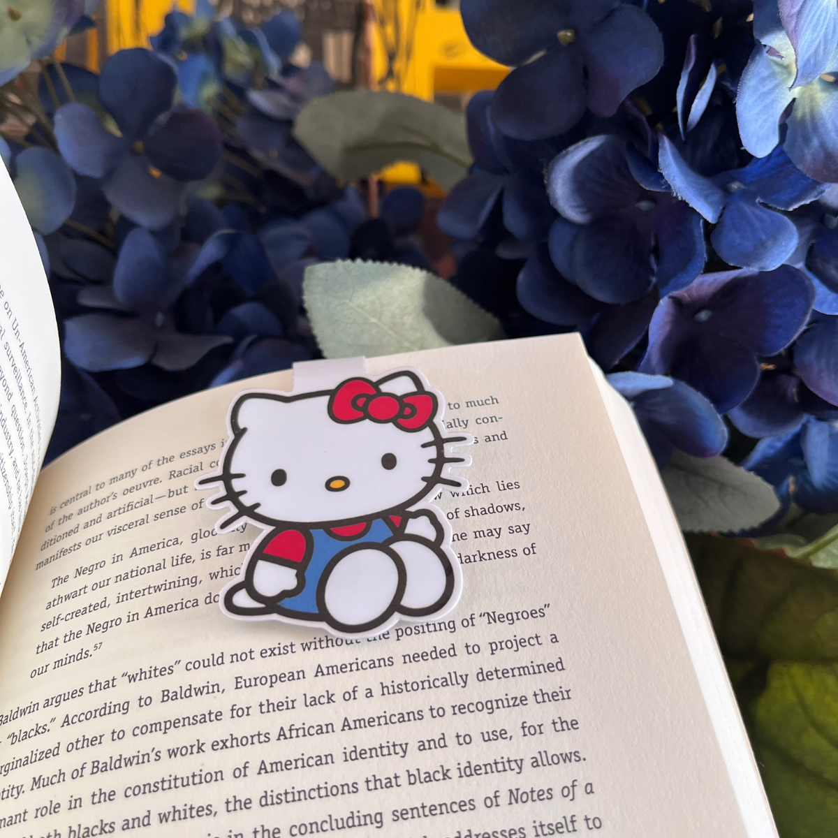 Hello Kitty Reading