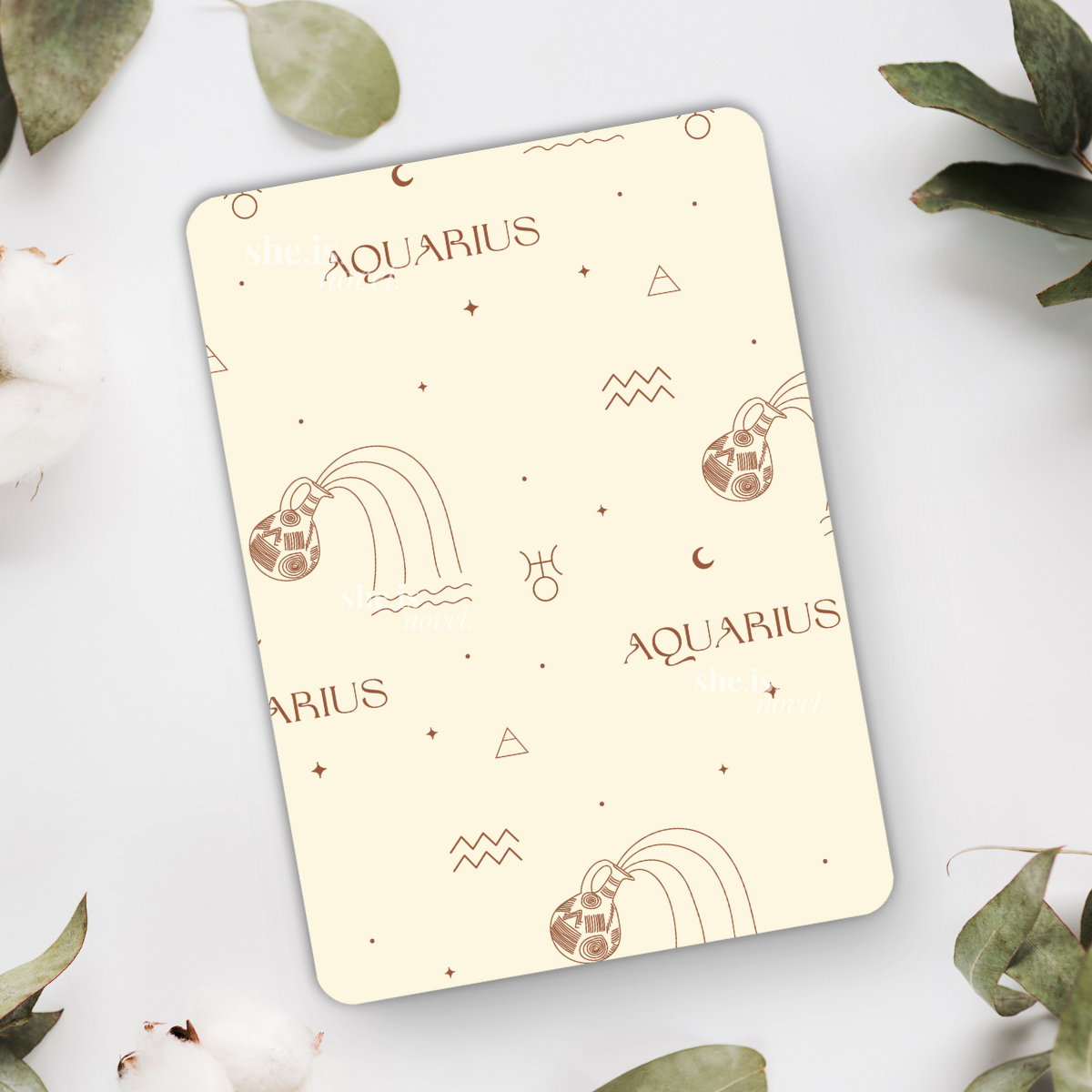 Gemini Reader
