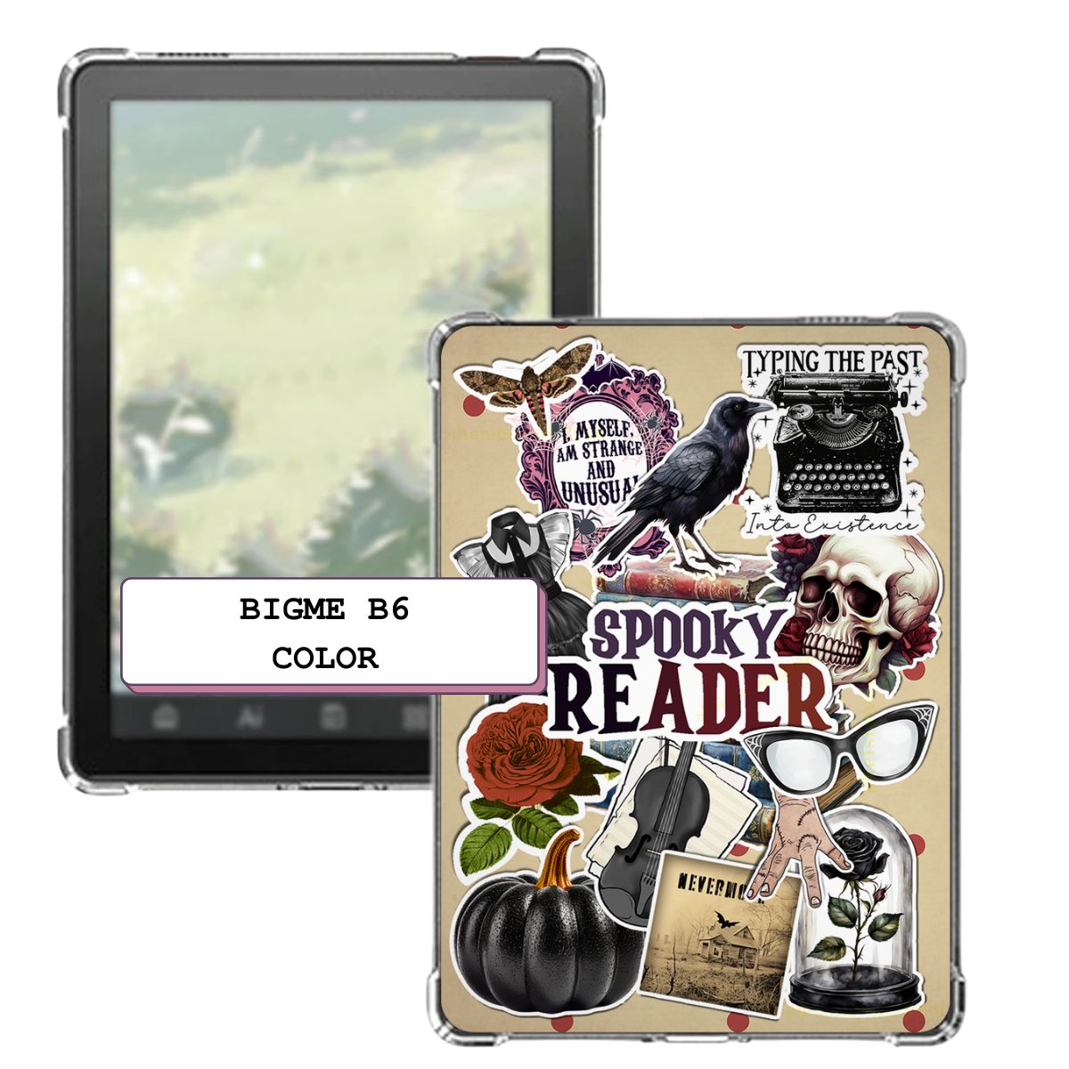 Poe The Reader